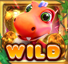 สัญลักษณ์Wild